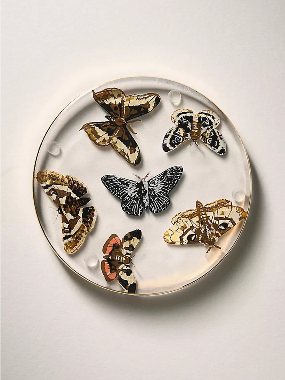 Catherine Martin Midnight Creatures Decaled Glass Coaster